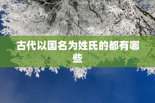 古代以国名为姓氏的都有哪些