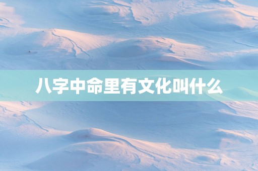 八字中命里有文化叫什么