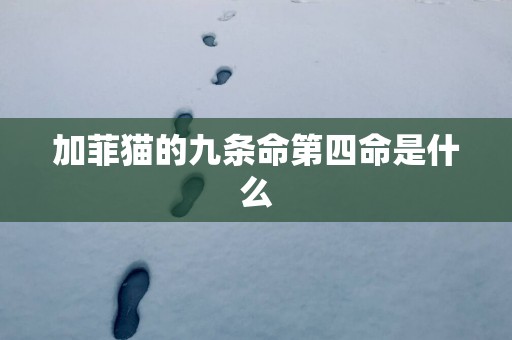 加菲猫的九条命第四命是什么