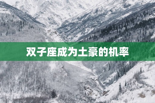 双子座成为土豪的机率