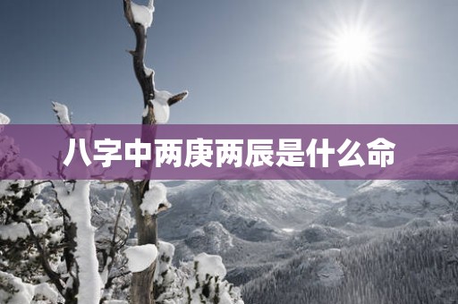 八字中两庚两辰是什么命