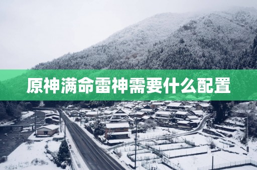 原神满命雷神需要什么配置