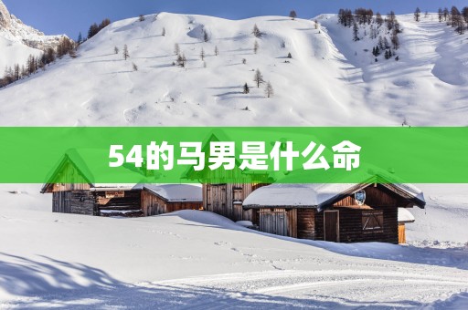 54的马男是什么命