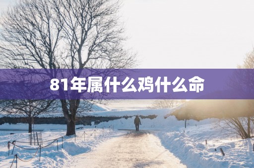 81年属什么鸡什么命