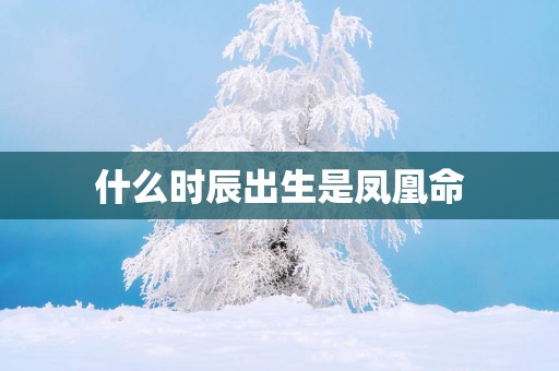 什么时辰出生是凤凰命