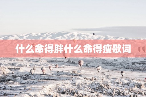 什么命得胖什么命得瘦歌词