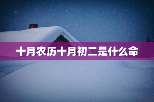 十月农历十月初二是什么命
