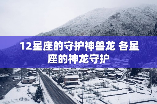 12星座的守护神兽龙 各星座的神龙守护 12星座的守护神兽龙 各星座的神龙守护