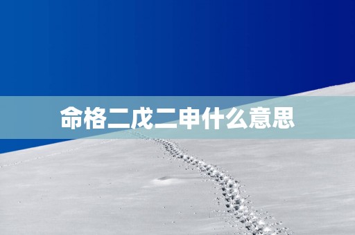 命格二戊二申什么意思