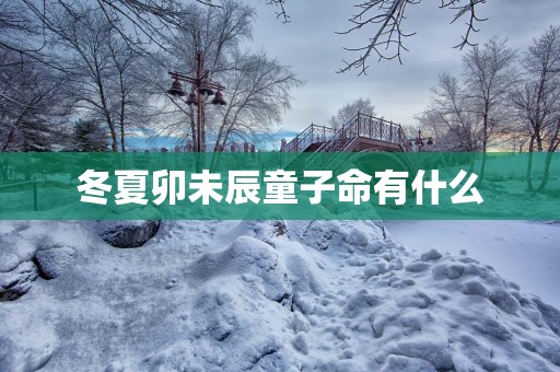 冬夏卯未辰童子命有什么