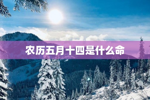 农历五月十四是什么命