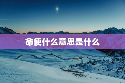 命便什么意思是什么