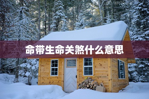 命带生命关煞什么意思