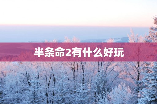 半条命2有什么好玩