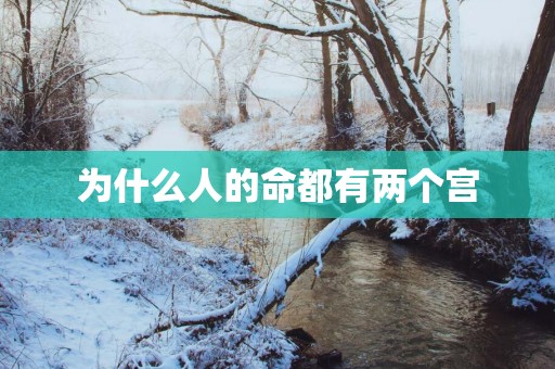 为什么人的命都有两个宫