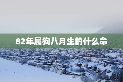 82年属狗八月生的什么命