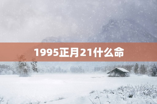 1995正月21什么命