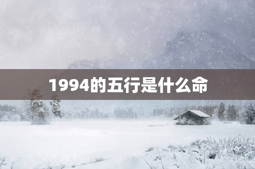 1994的五行是什么命