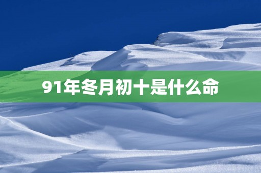 91年冬月初十是什么命