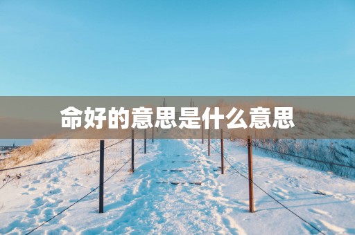 命好的意思是什么意思