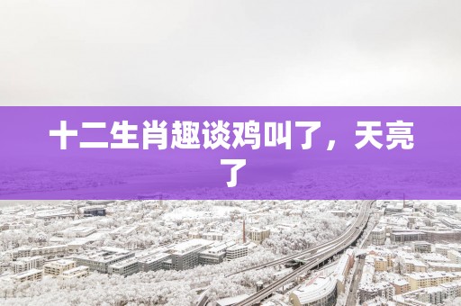 十二生肖趣谈鸡叫了，天亮了