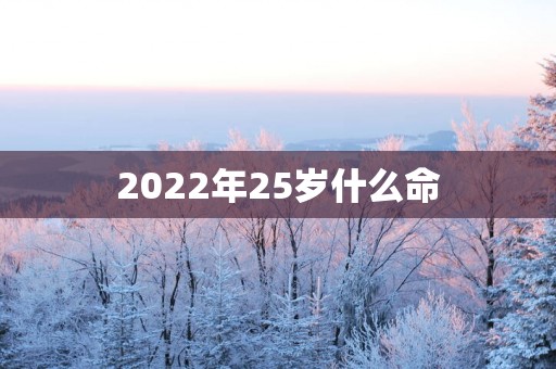 2026年25岁什么命