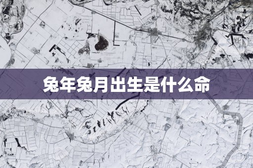 蛇年兔月出生是什么命