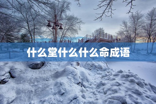 什么堂什么什么命成语
