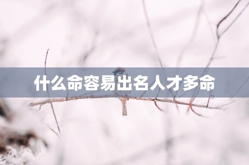 什么命容易出名人才多命