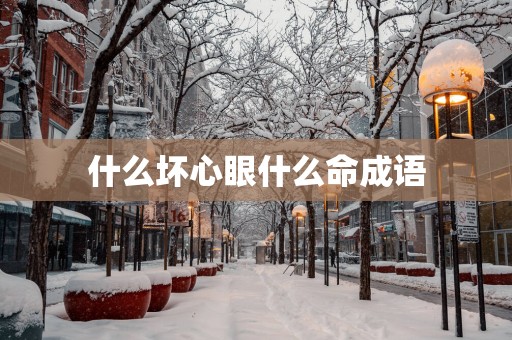 什么坏心眼什么命成语