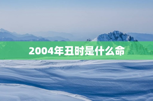 2004年丑时是什么命