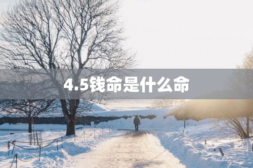 4.5钱命是什么命