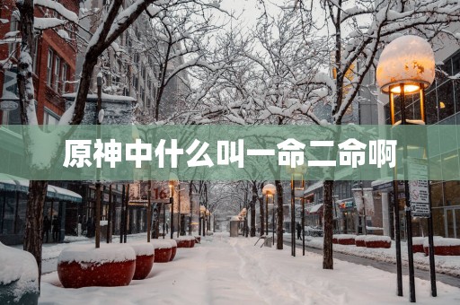 原神中什么叫一命二命啊