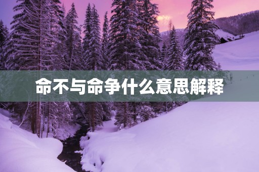 命不与命争什么意思解释