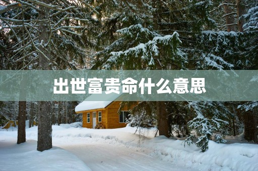 出世富贵命什么意思