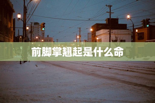 前脚掌翘起是什么命