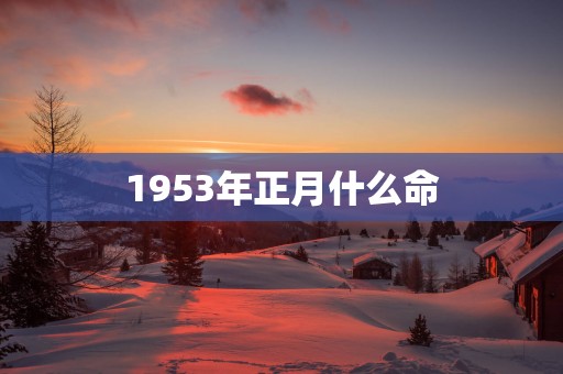 1953年正月什么命
