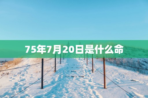 75年7月20日是什么命
