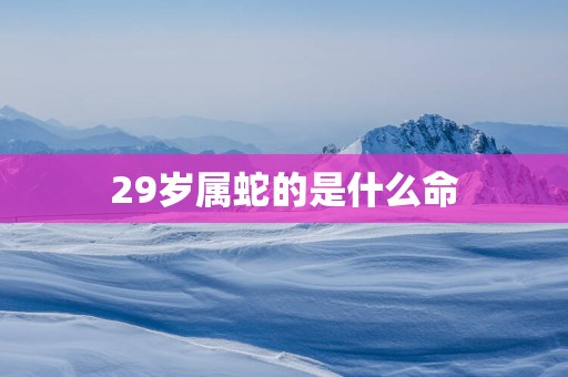 29岁属蛇的是什么命