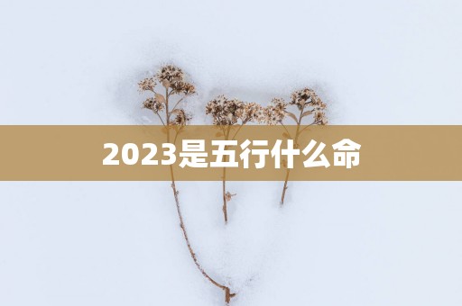 2025是五行什么命