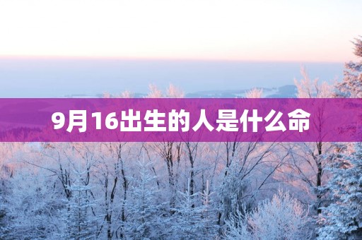 9月16出生的人是什么命