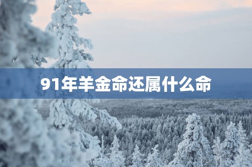 91年羊金命还属什么命