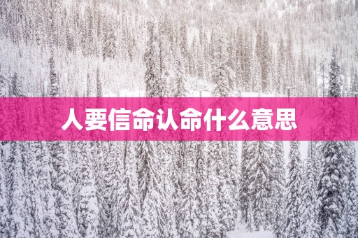 人要信命认命什么意思