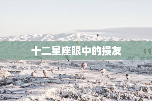 十二星座眼中的损友