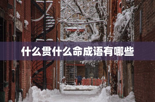 什么贯什么命成语有哪些