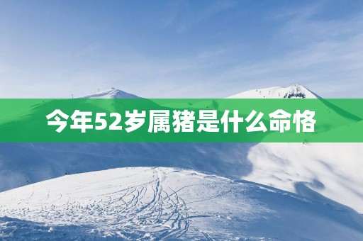 今年52岁属猪是什么命恪
