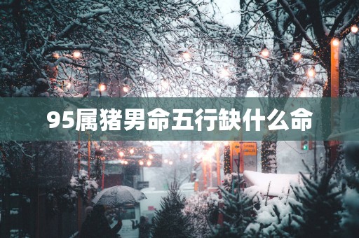 95属猪男命五行缺什么命