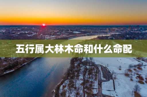 五行属大林木命和什么命配