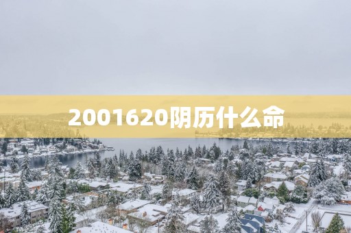 2001620阴历什么命