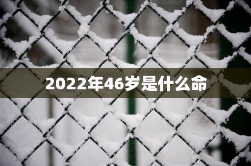 2025年46岁是什么命